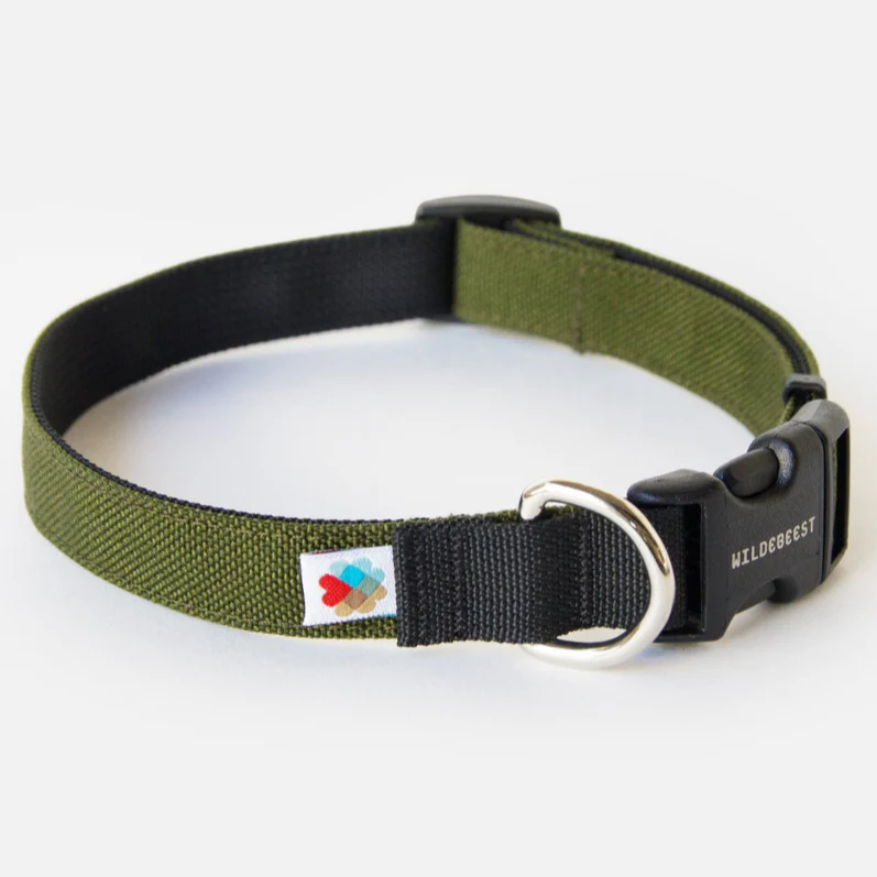 Funston Dog Collar in Olive Green - Image 2