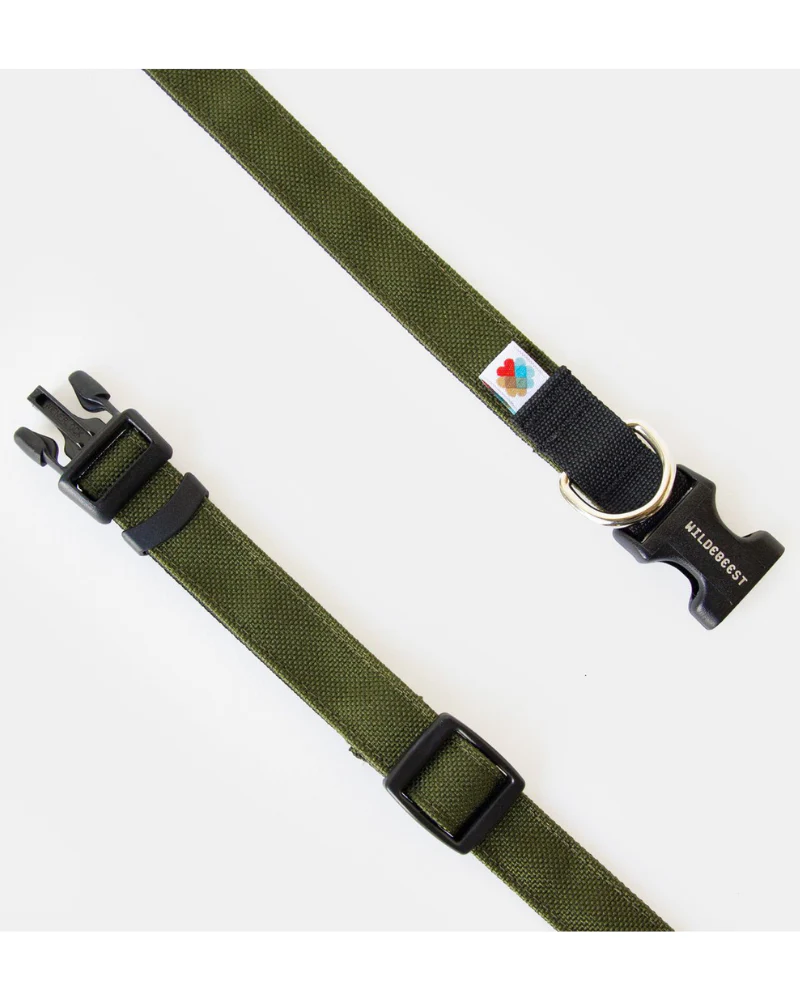 Funston Dog Collar in Olive Green - Image 3