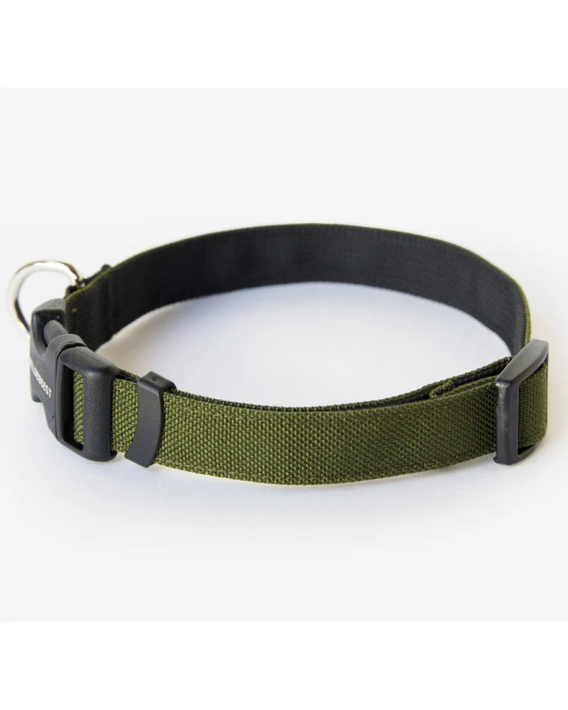 Funston Dog Collar in Olive Green - Image 4
