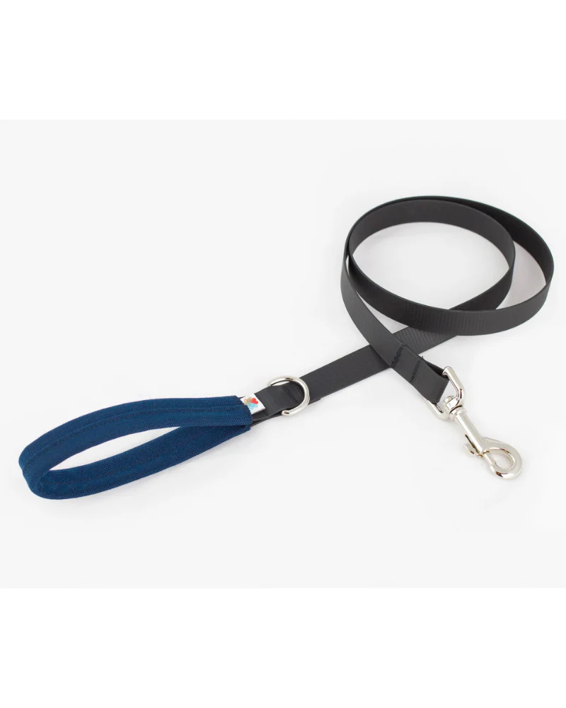 Funston Dog Leash in Navy