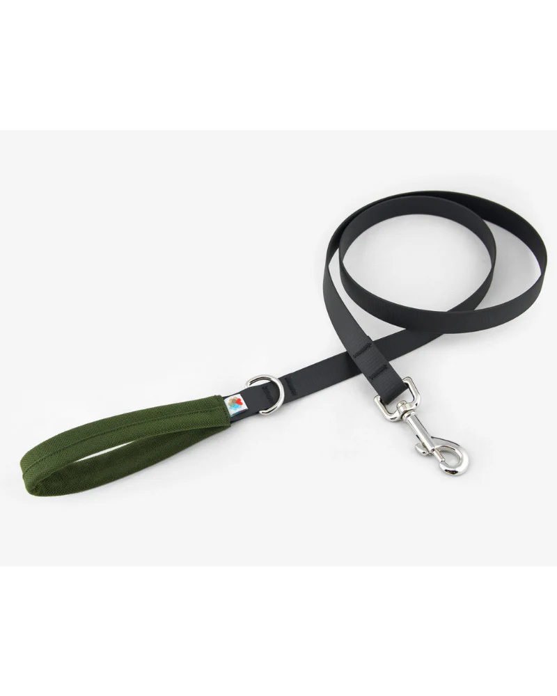 Funston Dog Leash in Olive
