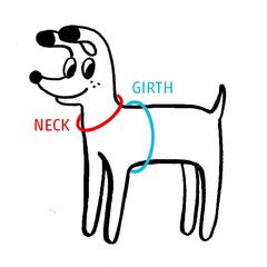Laguna Dog Harness in Black - Image 5