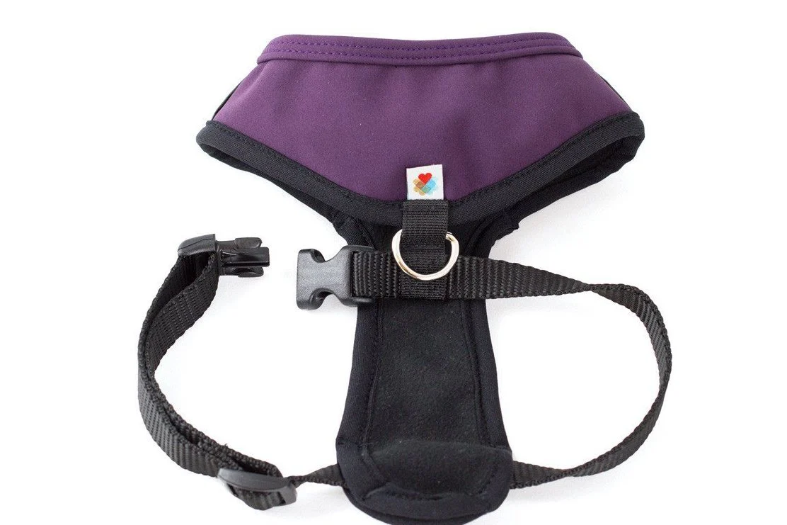 WILDEBEEST | Laguna Harness in Plum