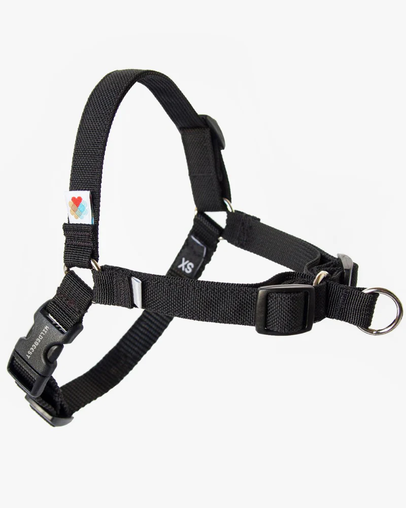 Linden No Pull Front Clip Dog Harness - Image 2