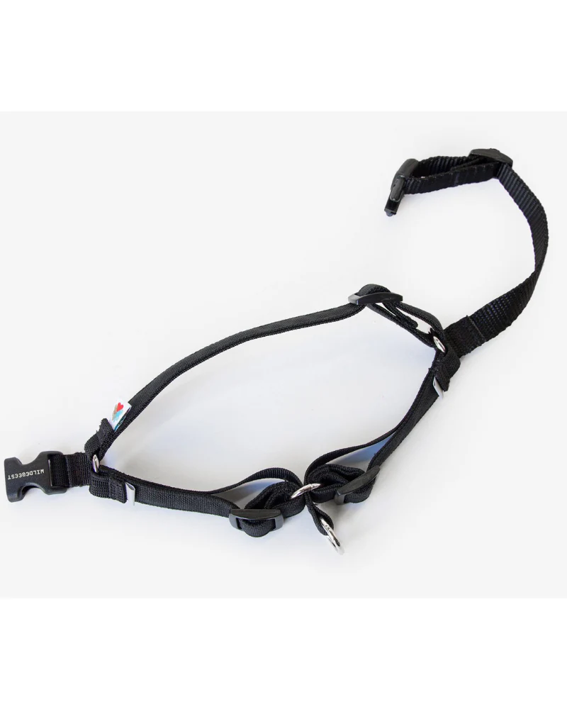 Linden No Pull Front Clip Dog Harness - Image 3