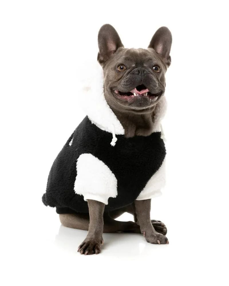 Winnie Dog Hoodie in Panda (FINAL SALE) - Image 3