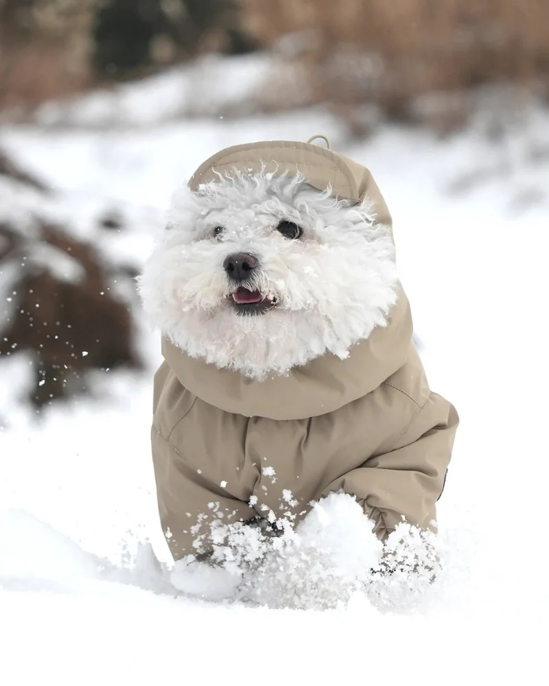 Fleece-Lined Winter Coverall for Dogs - Image 12