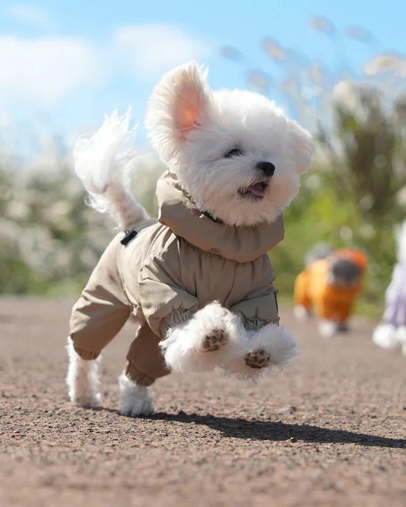 Fleece-Lined Winter Coverall for Dogs - Image 15