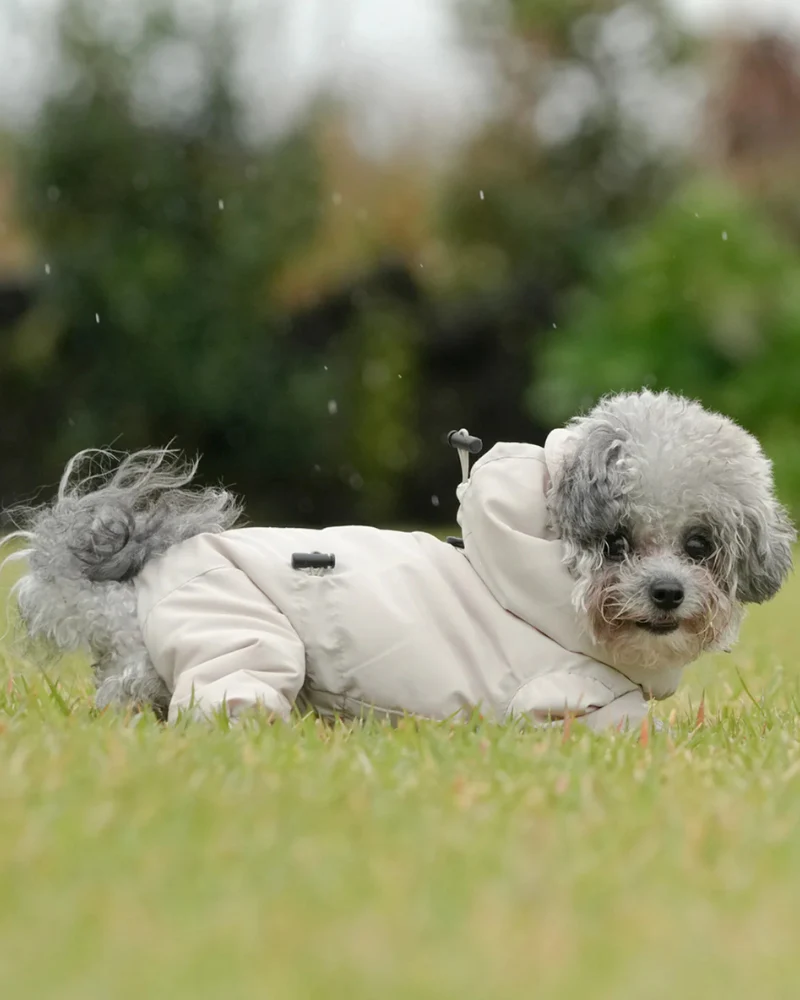Fleece-Lined Winter Coverall for Dogs - Image 23