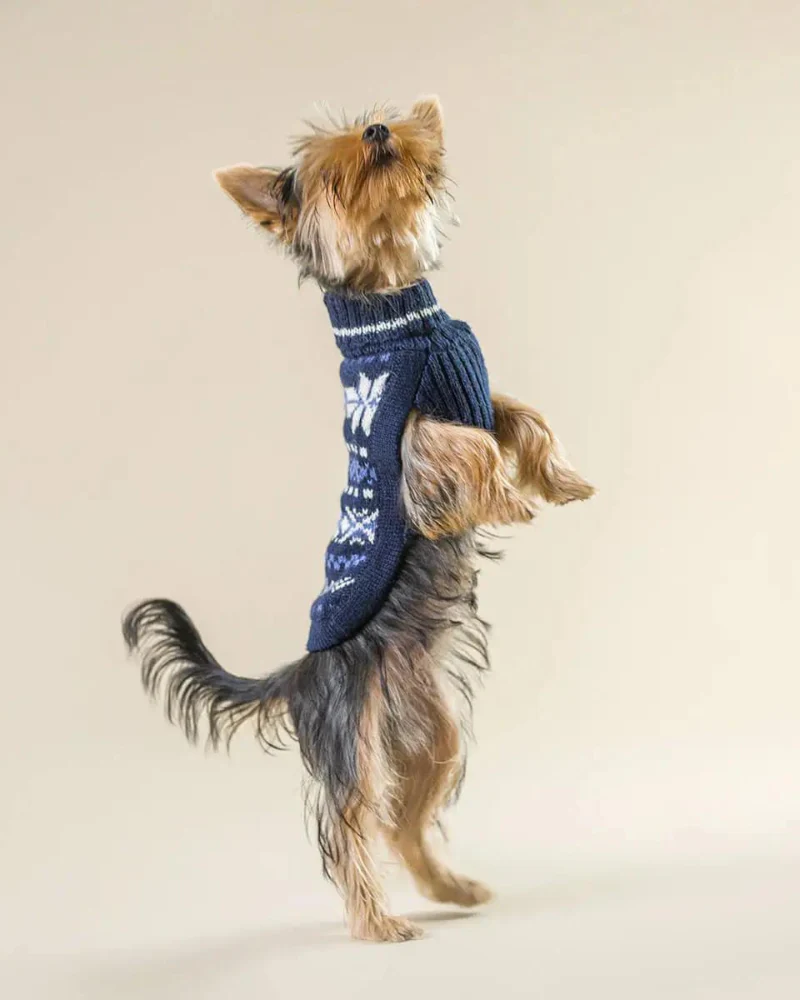 Starry Night Alpaca Blend Dog Sweater (FINAL SALE) - Image 2