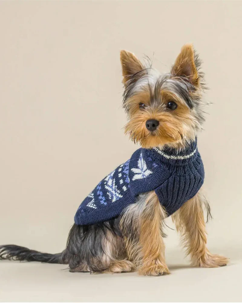 Starry Night Alpaca Blend Dog Sweater (FINAL SALE) - Image 3