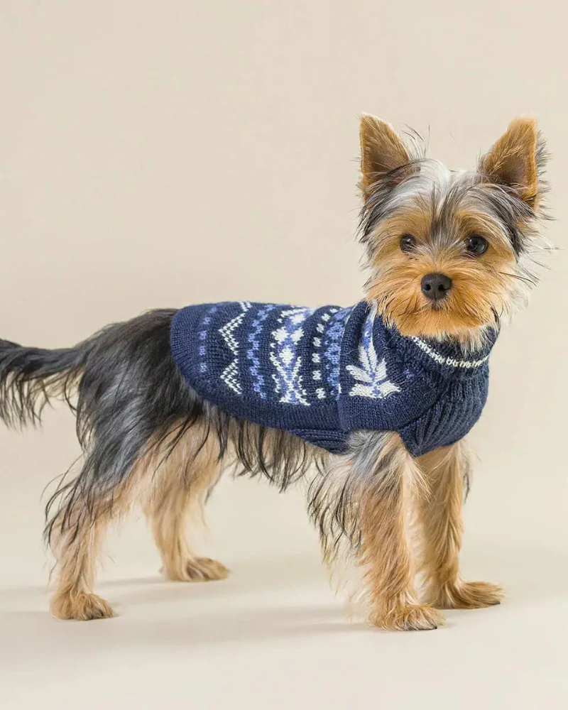 Starry Night Alpaca Blend Dog Sweater (FINAL SALE) - Image 4