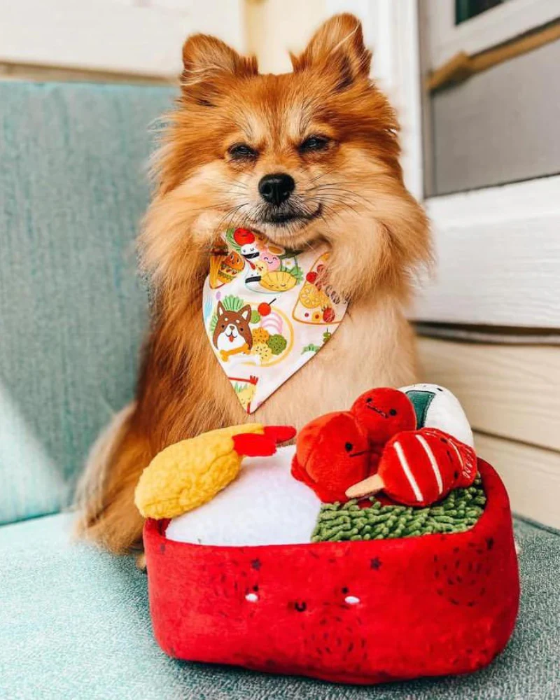 Benny Bento Box Squeaky Seven-Piece Plush Dog Toy <br> (Made in the USA) - Image 4