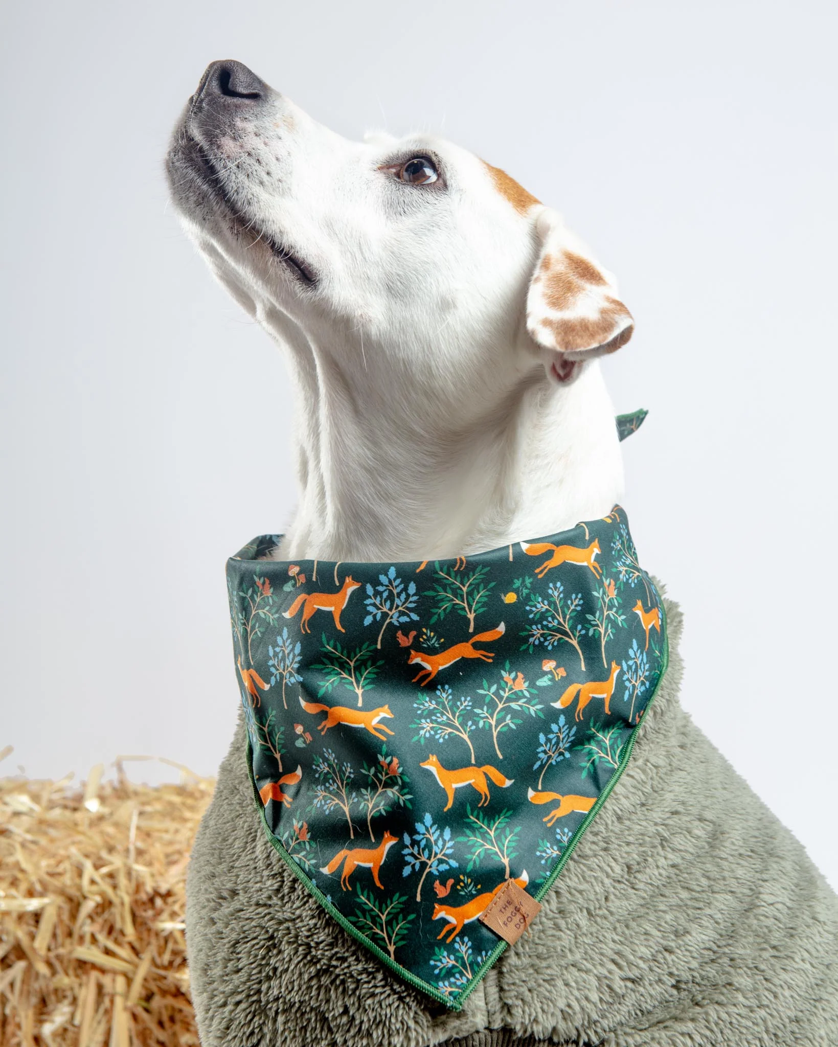 Woodland Fox Dog Bandana (Made in the USA)