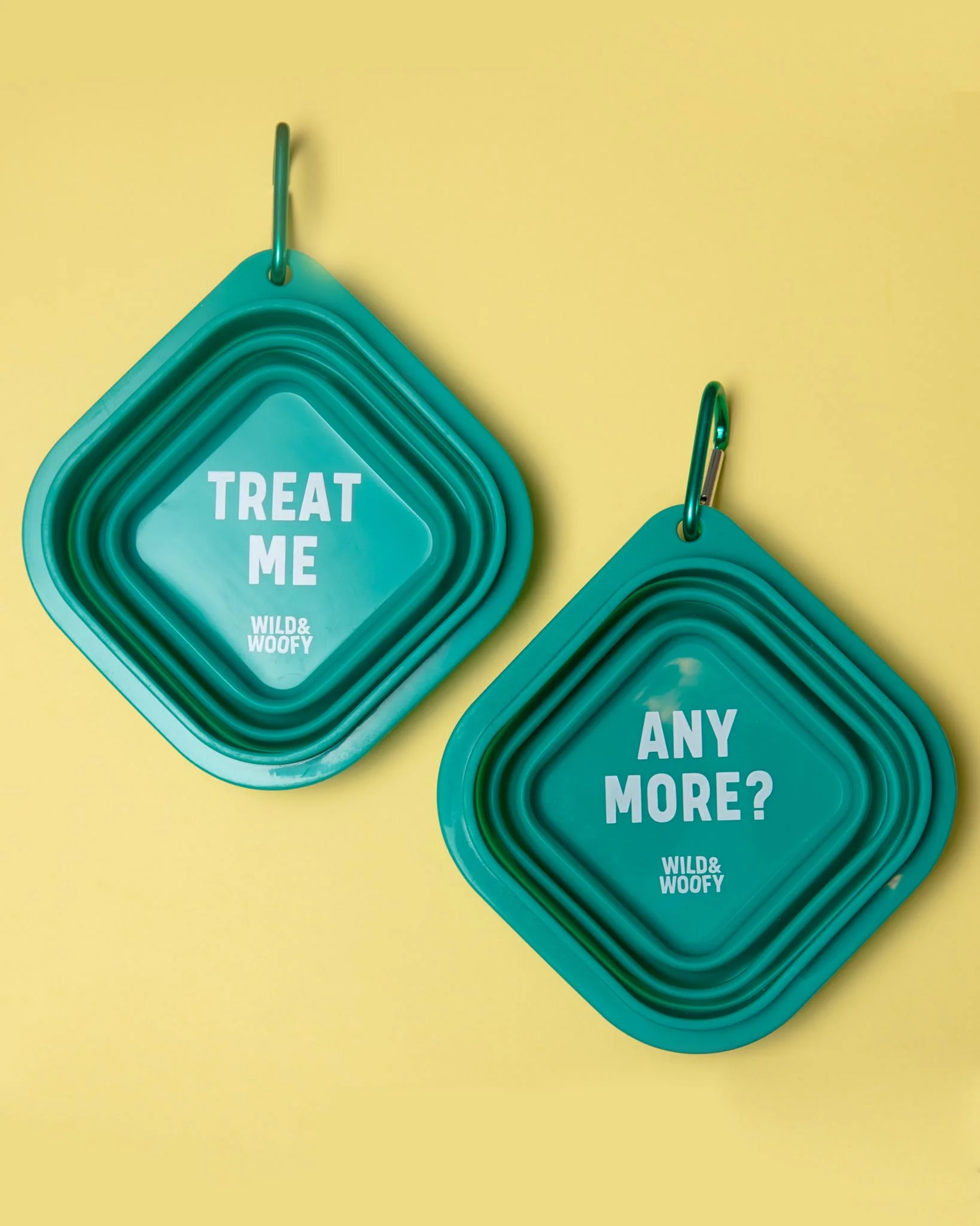 Wild & Woofy Collapsible Dog Bowl Set