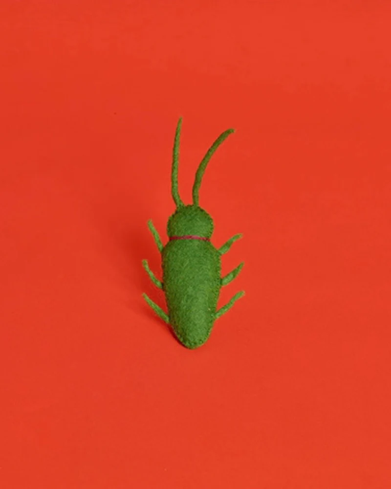 Wool Bug Catnip Toy