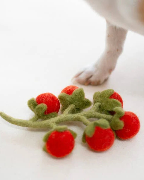 Wool Cherry Tomato Vine Dog Toy - Image 2