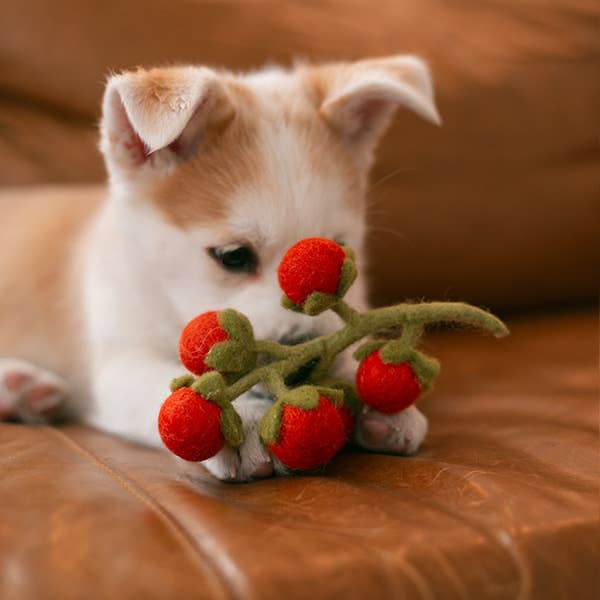 Wool Cherry Tomato Vine Dog Toy - Image 5