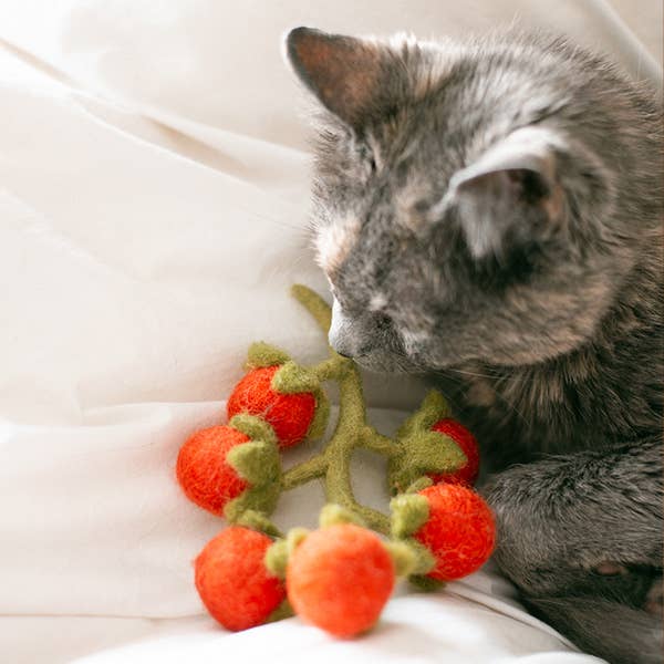 Wool Cherry Tomato Vine Dog Toy - Image 6