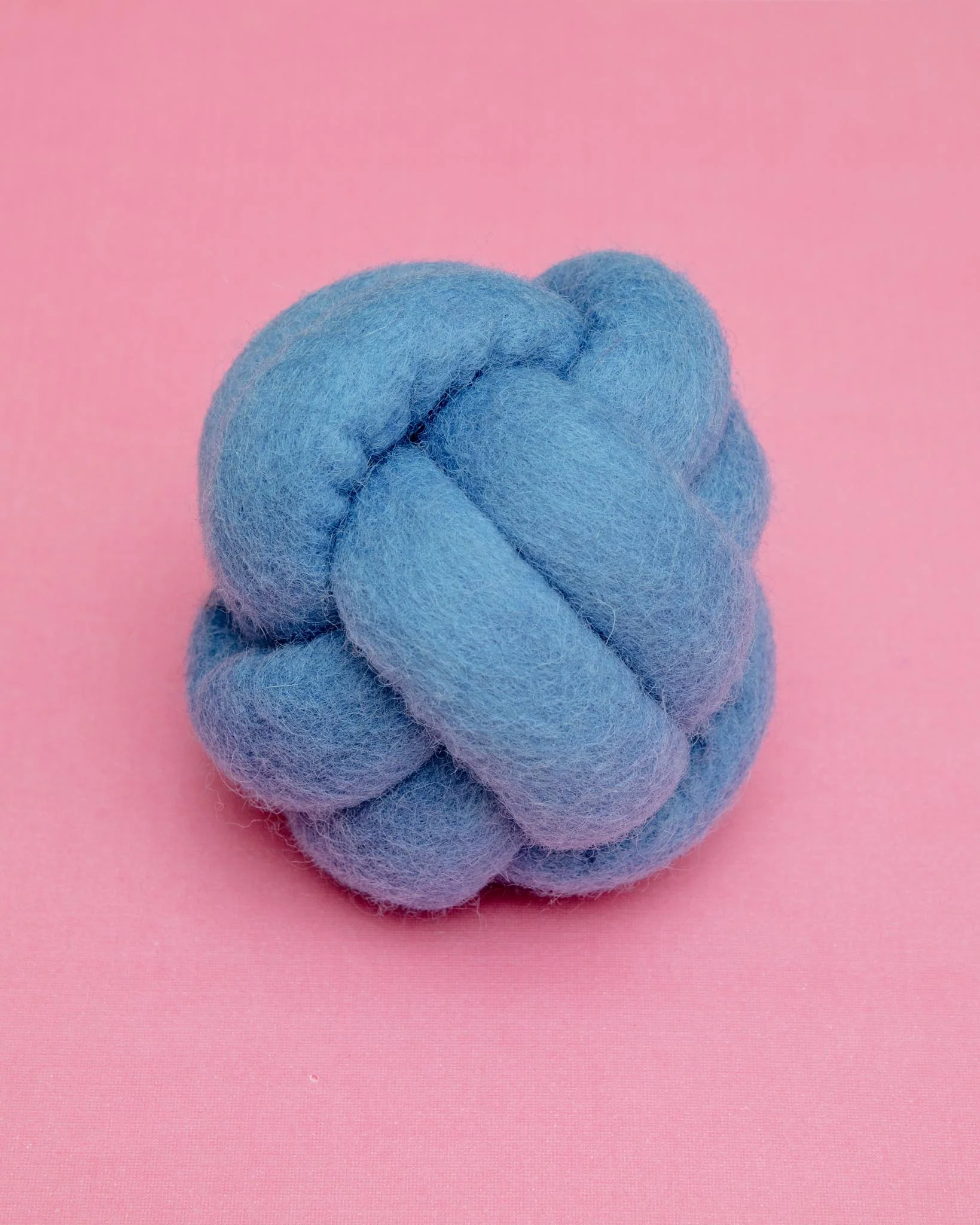 Wool Knot Today Felt Puzzle Dog Toy