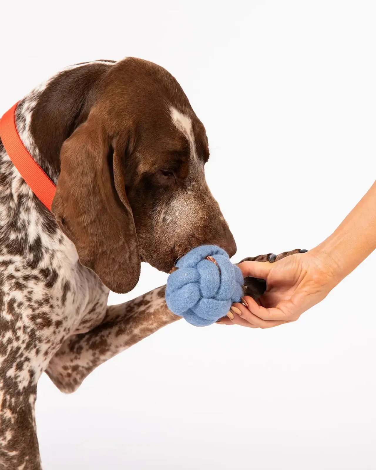 Wool Knot Today Felt Puzzle Dog Toy - Image 5