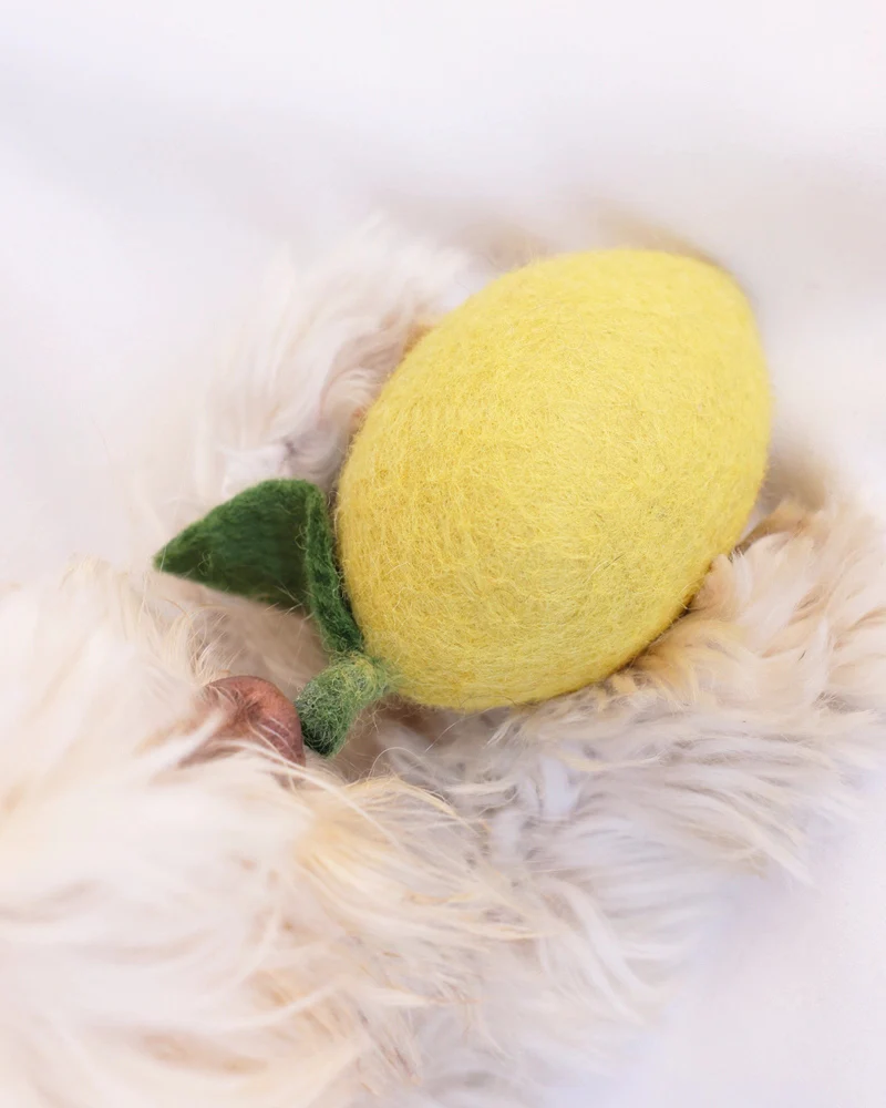Wool Lemon Dog Toy - Image 4