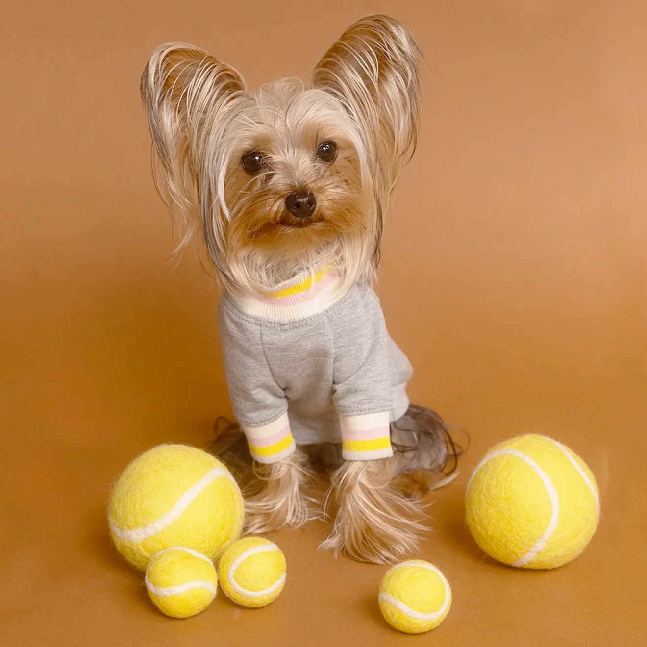 Wool Tennis Ball Dog Toy (FINAL SALE) - Image 2