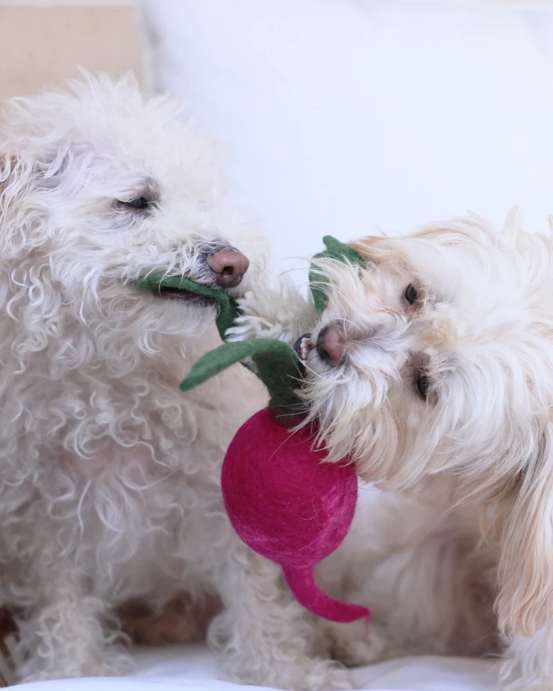 Wool Radish Dog Toy - Image 4