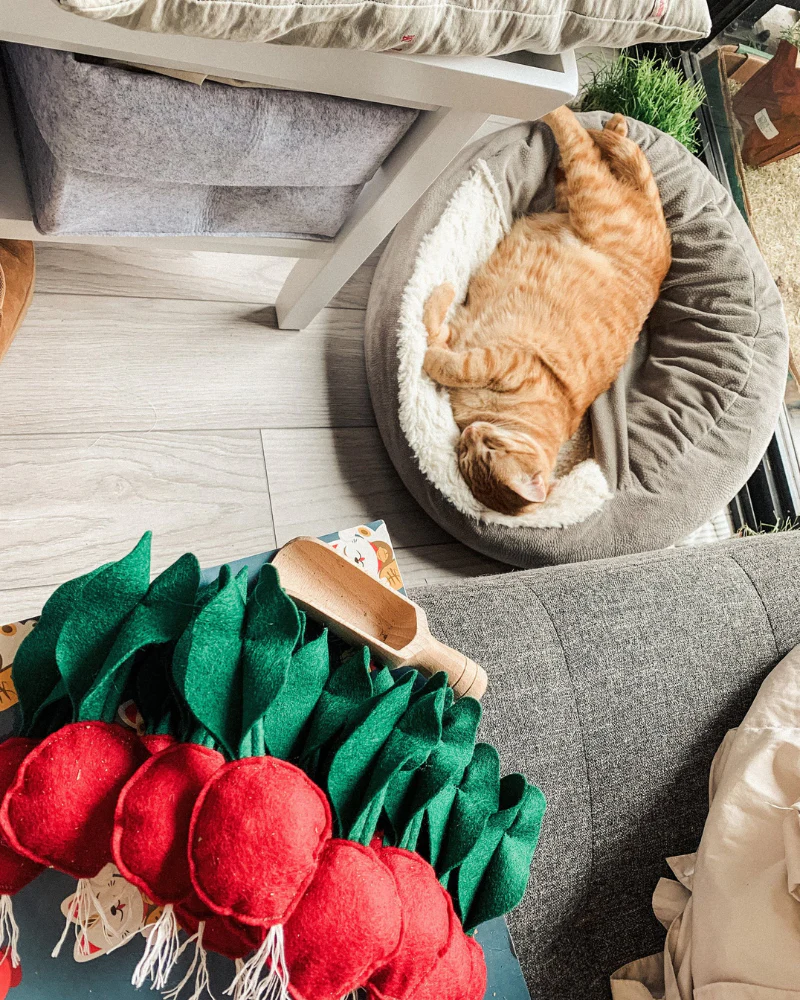 Woolen Crunchy Radish Catnip Toy - Image 2