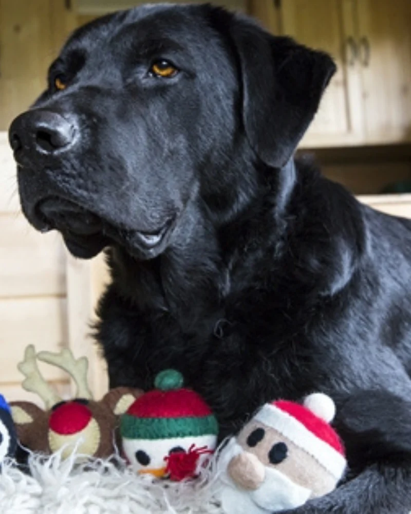 Wooly Santa Dog Toy - Image 2