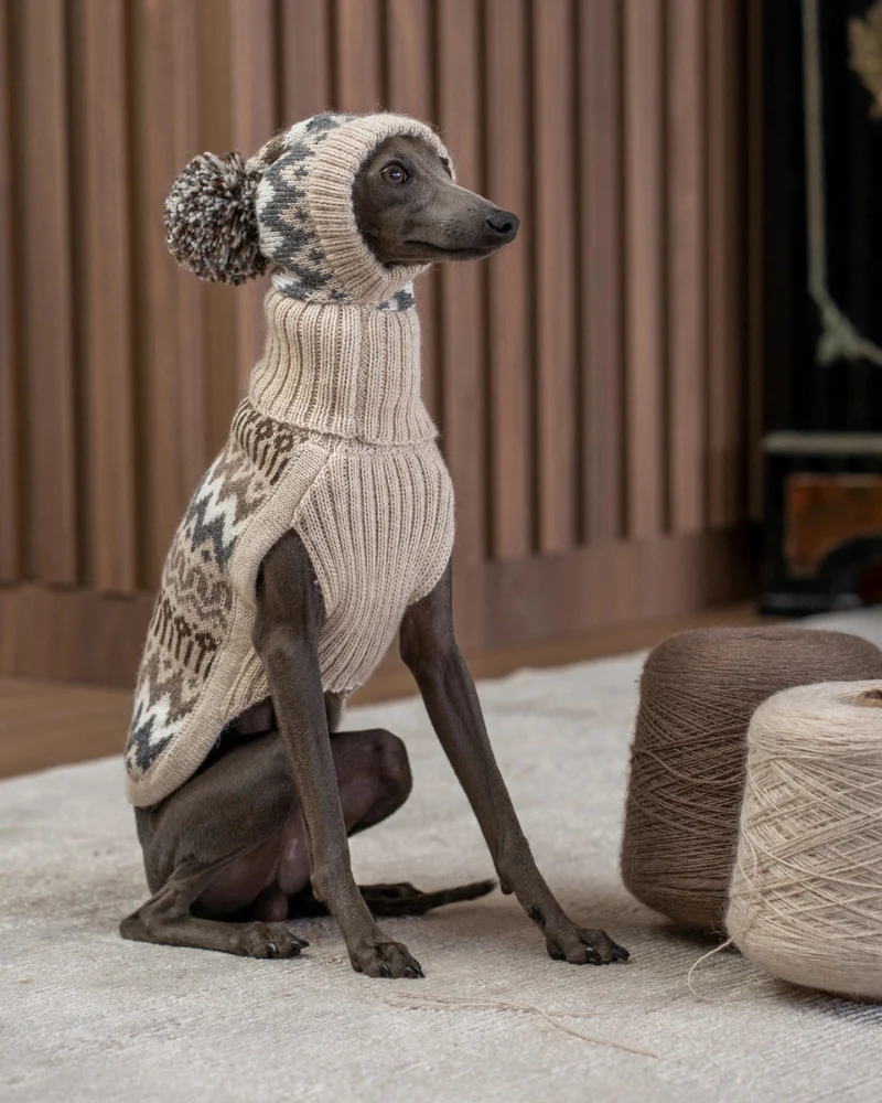 Wooly Winter Alpaca Dog Hat - Image 3