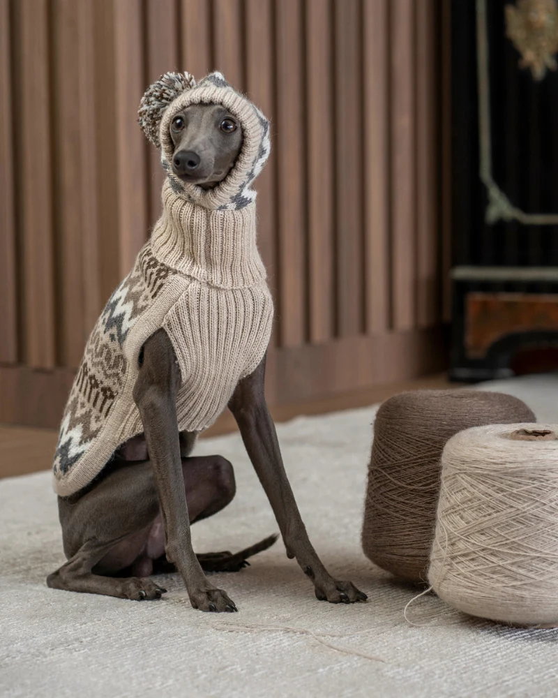 Wooly Winter Alpaca Dog Hat - Image 5