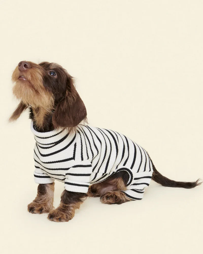 World's Your Oyster Dog Onesie - Image 3