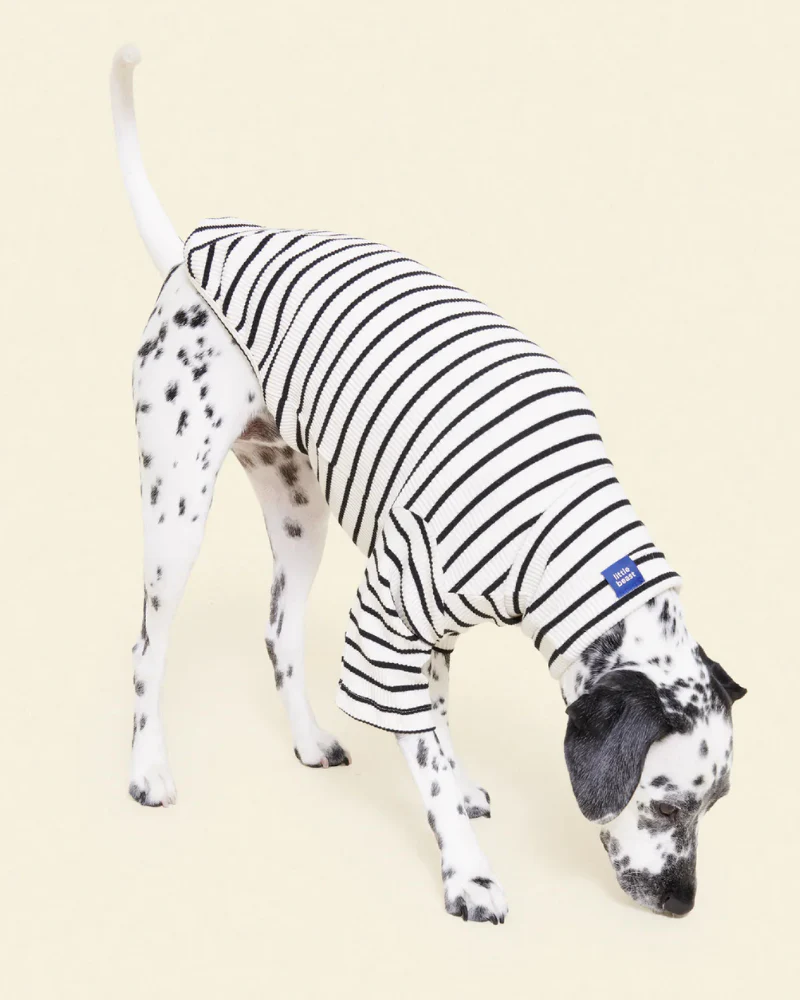 World's Your Oyster Dog Pullover Shirt - Image 4