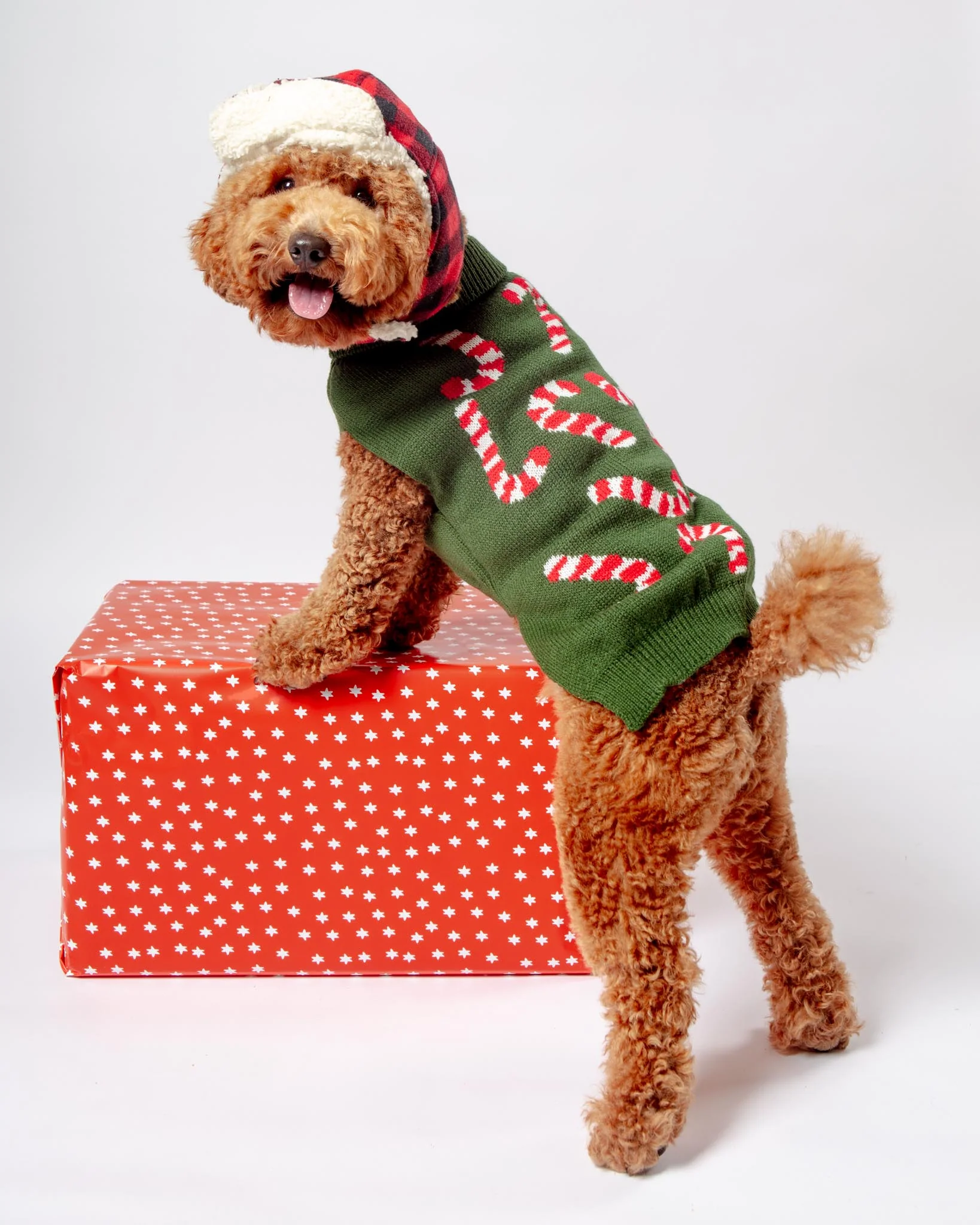 Flannel & Fleece Aviator Dog Hat in Buffalo Plaid (CLEARANCE) - Image 5