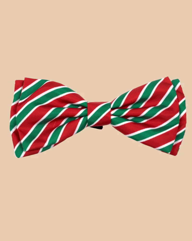Dignified Dog Bow Tie in Holiday Stripe << FINAL SALE >>