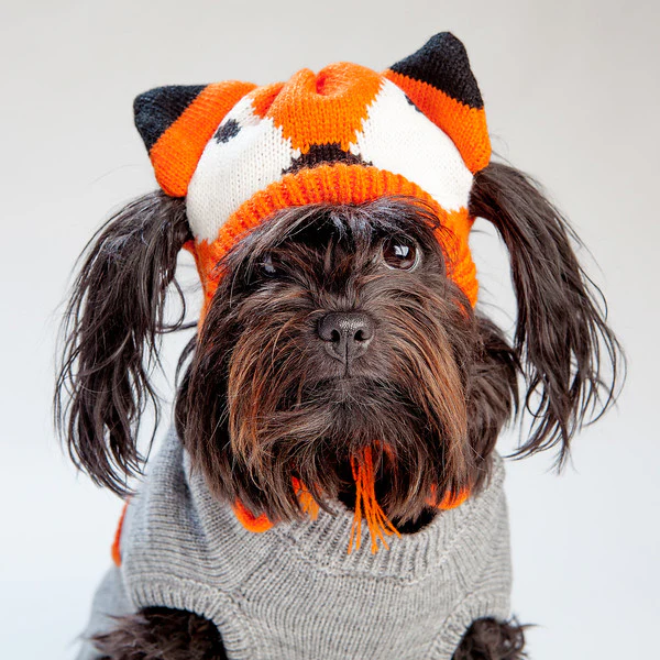 WORTHY DOG | Fox Cardigan - Image 5
