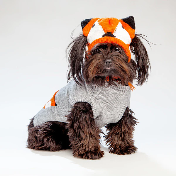 WORTHY DOG | Fox Hat - Image 3
