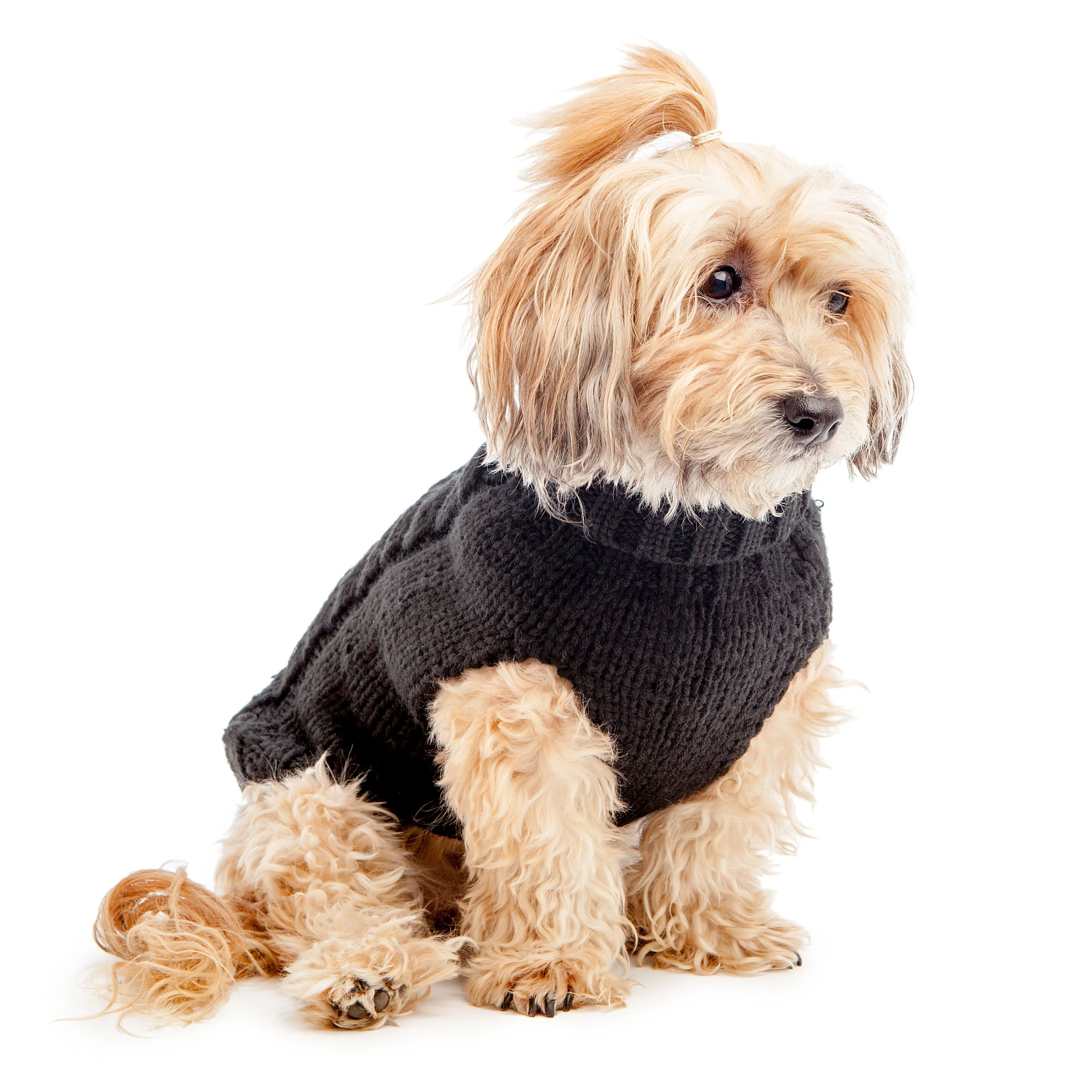 Hand Knit Turtleneck Sweater in Black (FINAL SALE)(Dog & Co. Exclusive)
