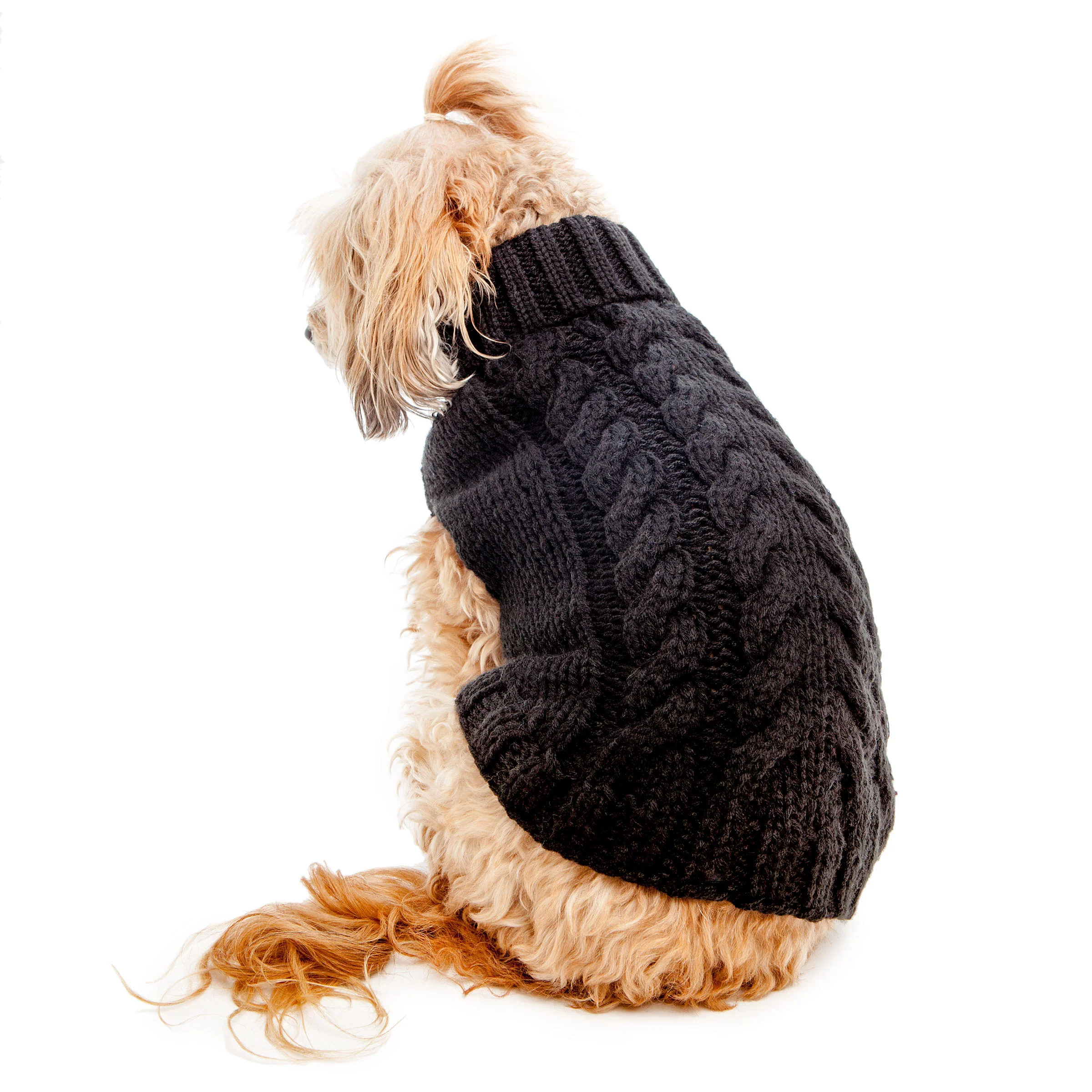 Hand Knit Turtleneck Sweater in Black (FINAL SALE)(Dog & Co. Exclusive) - Image 2