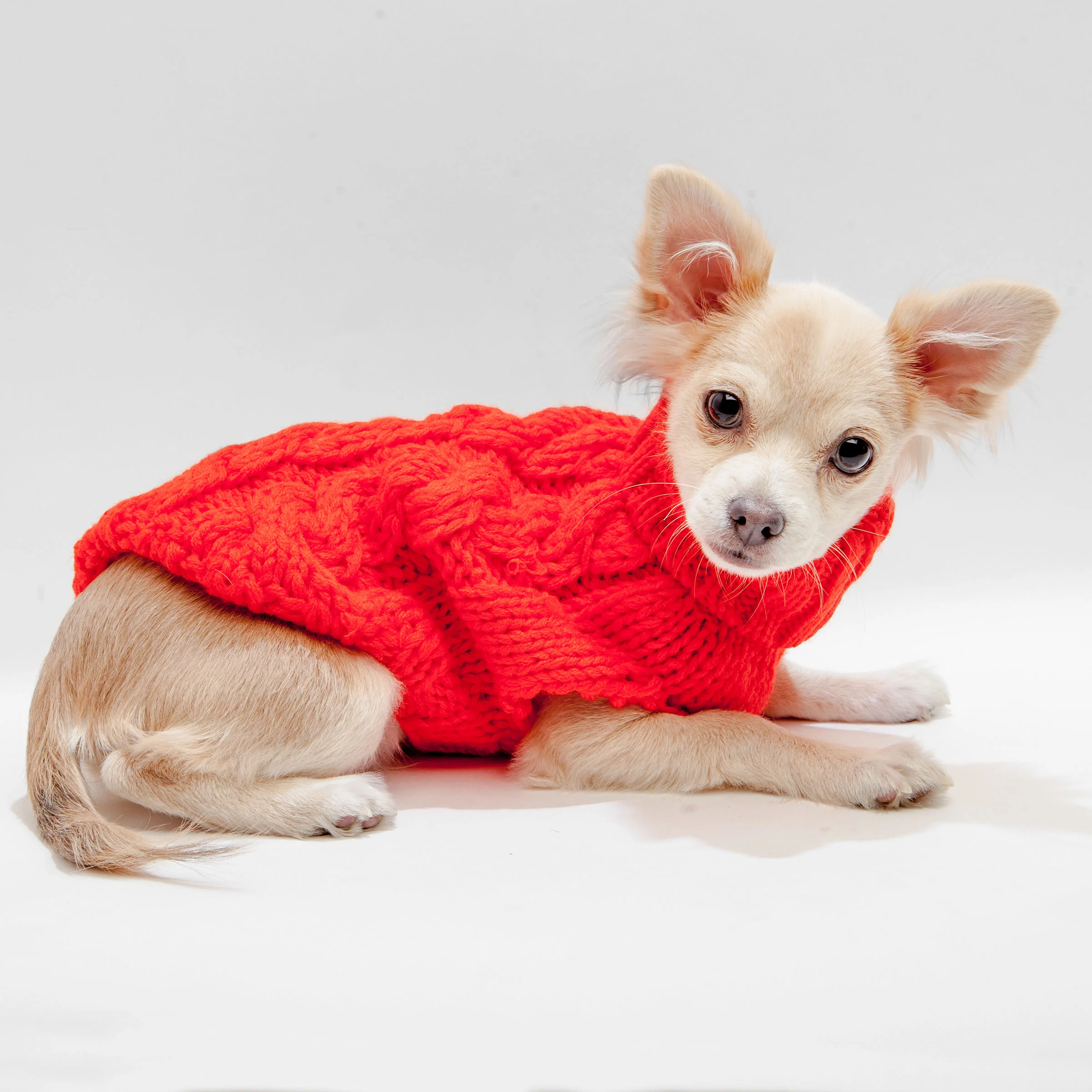 Hand Knit Turtleneck Sweater in Papaya Electric (Dog & Co. Exclusive) (FINAL SALE) - Image 2