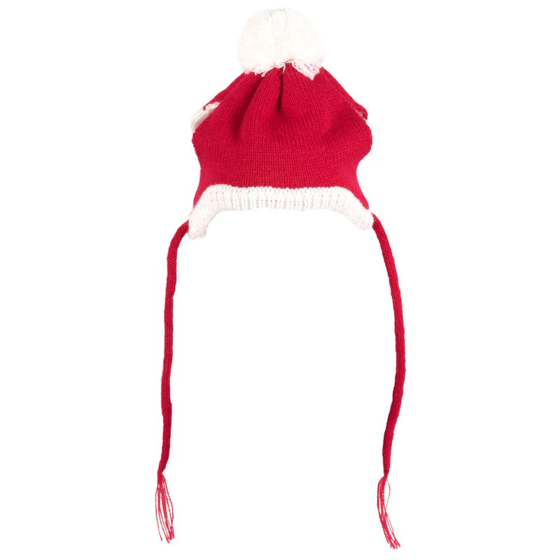WORTHY DOG | Santa Hat