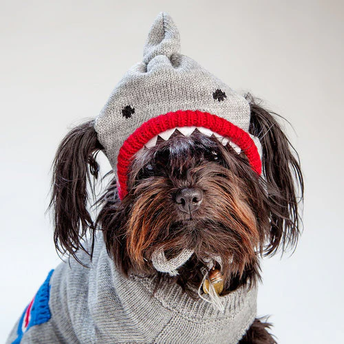WORTHY DOG | Shark Cardigan - Image 4