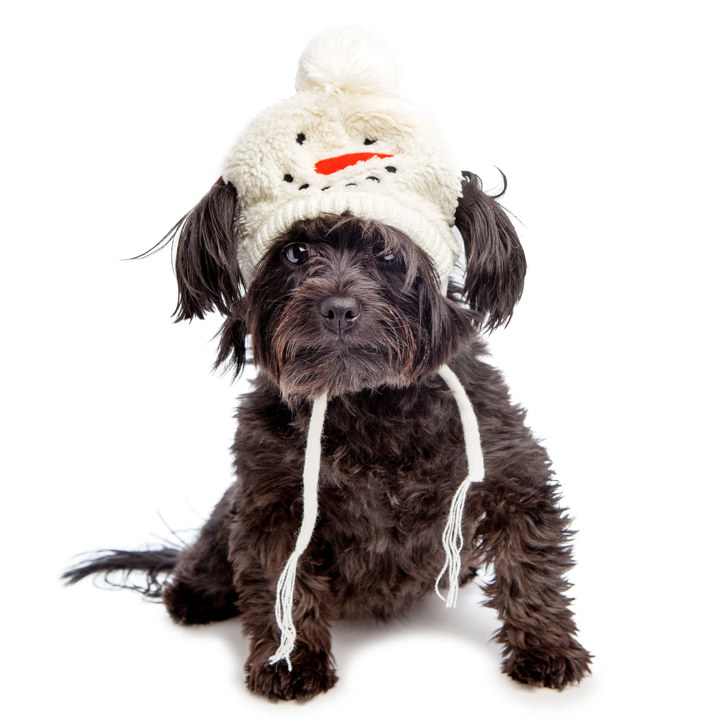 Silly Snowman Tie-On Dog Hat - Image 4