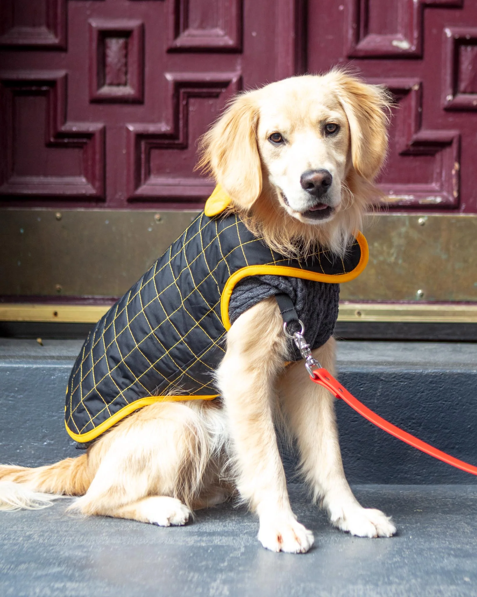 Yaku Reversible Waterproof Dog Coat (FINAL SALE) - Image 3