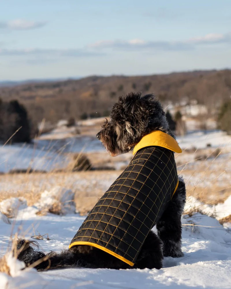 Yaku Reversible Waterproof Dog Coat (FINAL SALE) - Image 4