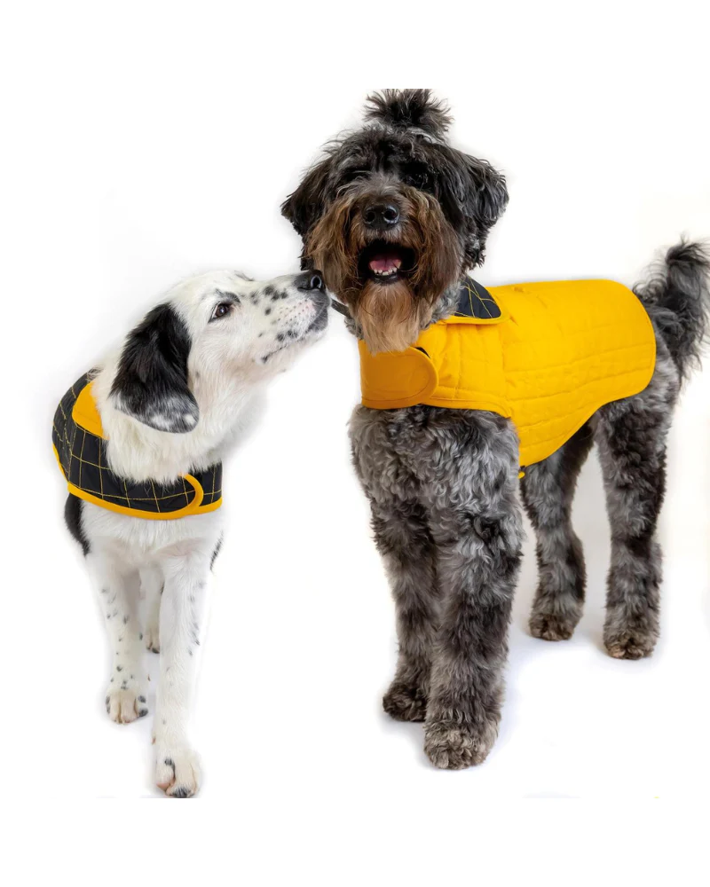 Yaku Reversible Waterproof Dog Coat (FINAL SALE) - Image 5