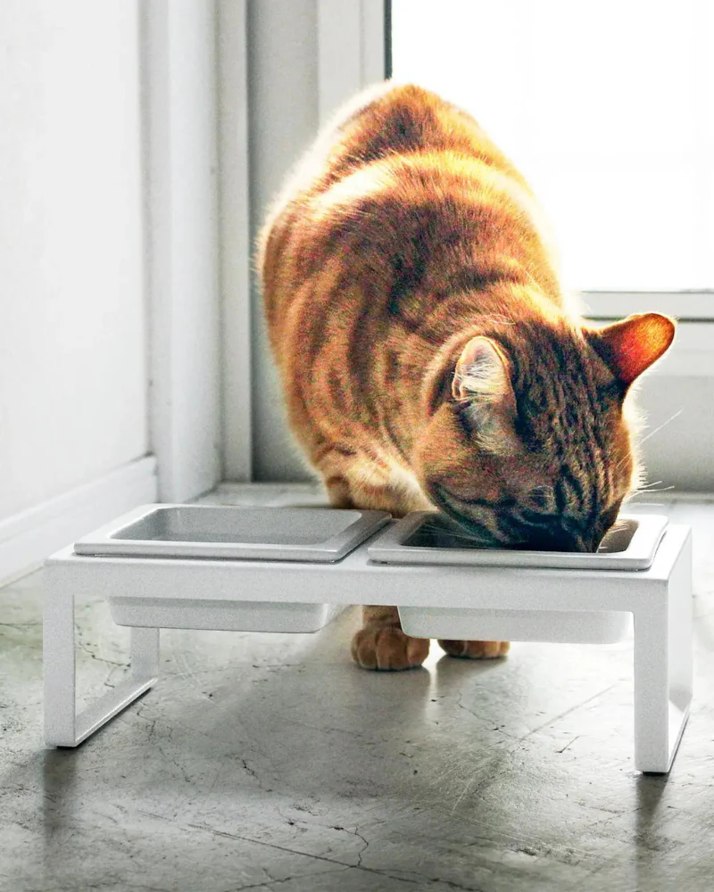 Tower Pet Food Bowl in White - Image 5