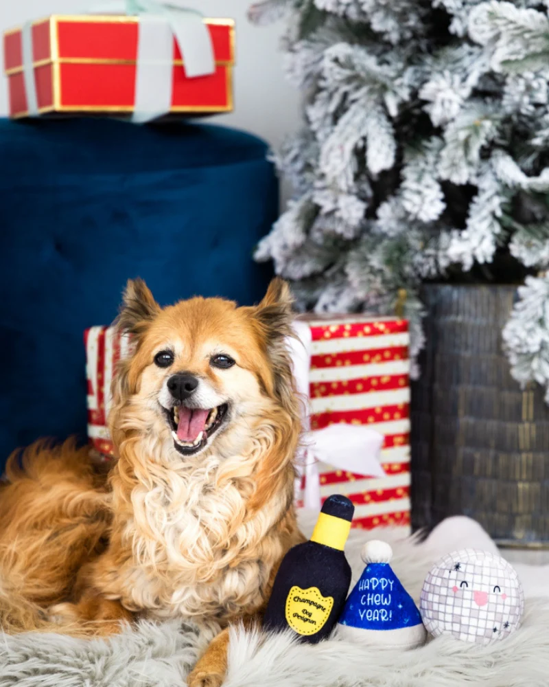 Yappy Chew Year Squeaky Dog Toy Set - Image 2