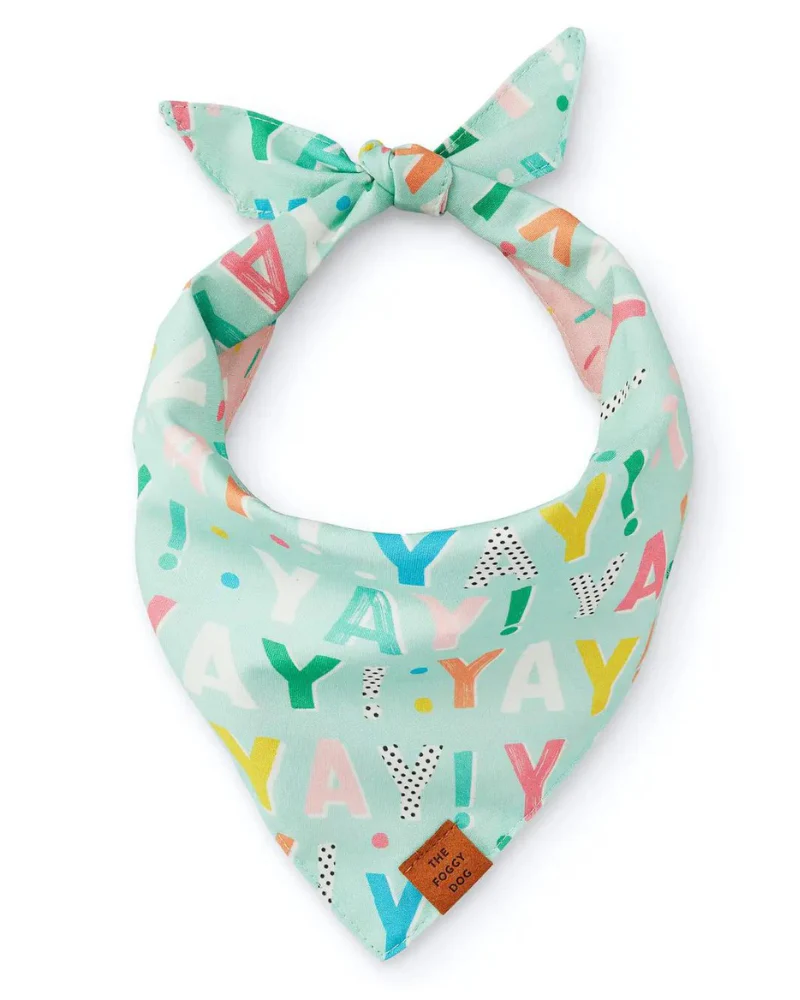 Yay Reversible Birthday Dog Bandana - Image 2